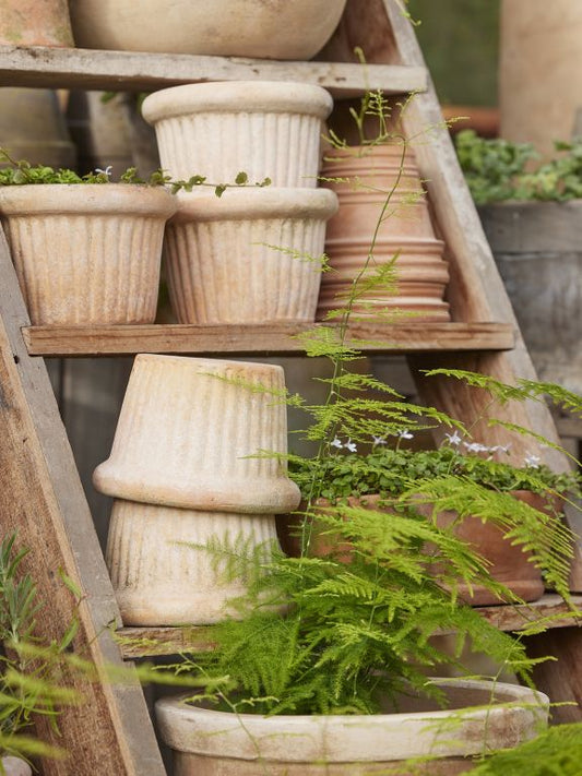 Ribbed Terracotta Pot