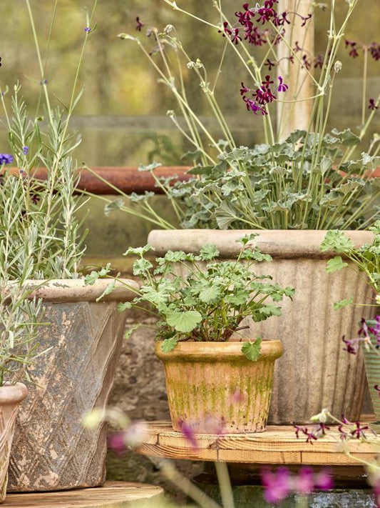 Ribbed Terracotta Pot