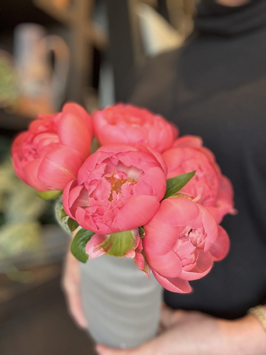 Peony Embrace