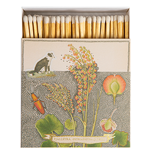 Chien Botanical Drawing Matches | Square - Safety Matches