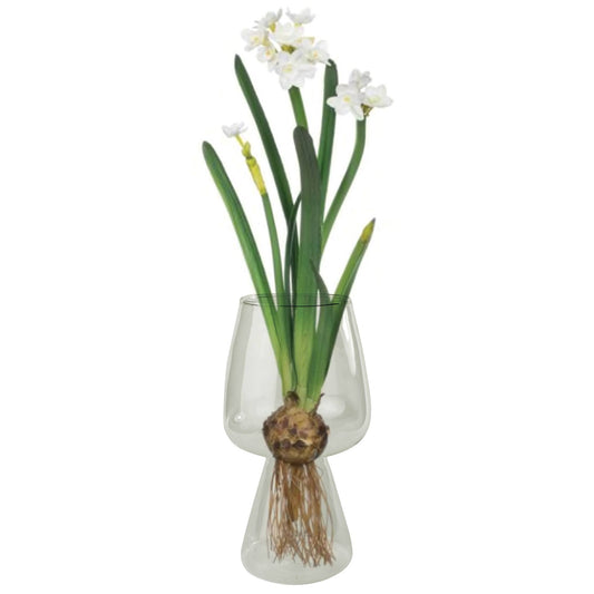 Bulb Vase Glass