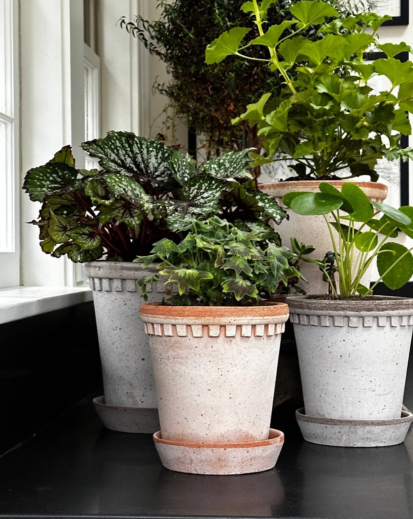 Coventry Terracotta Pot Pale Gray 6"