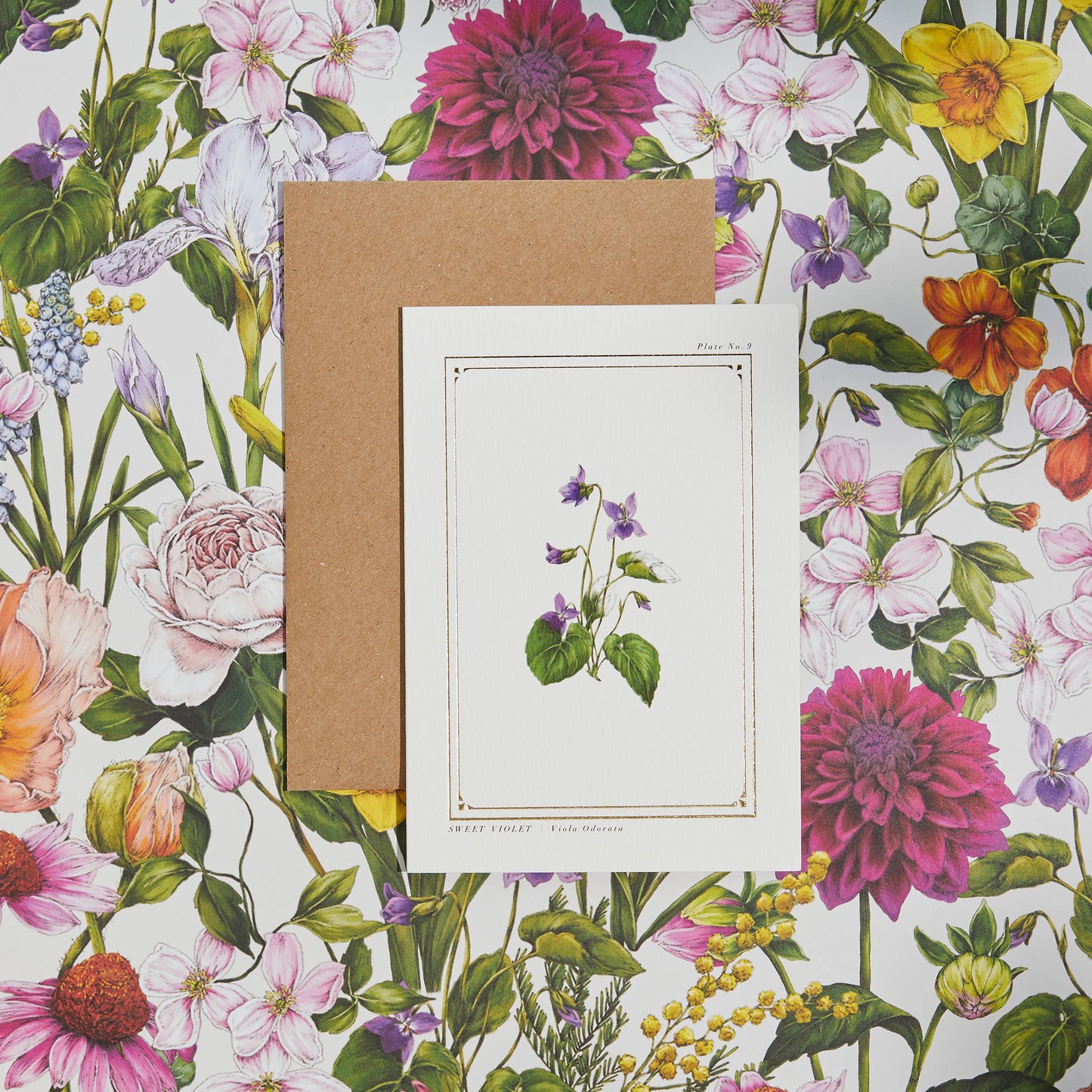 Sweet Violet - 'Botanist Archive : Everyday Edition' - Card