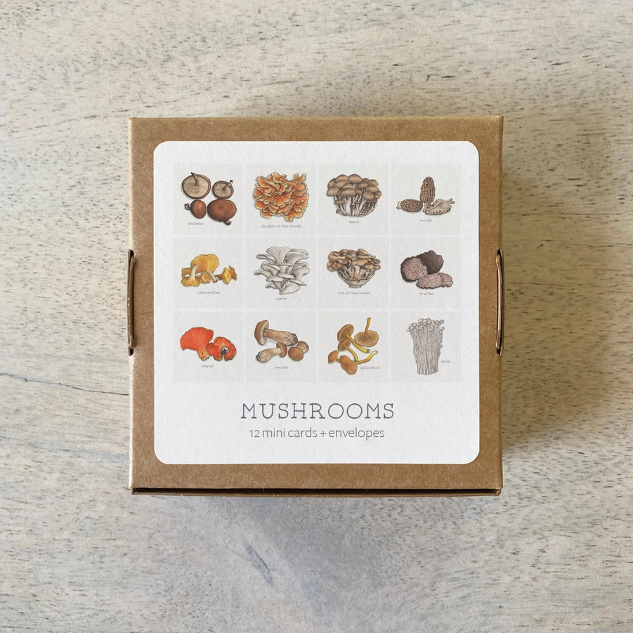 Mini Card Set Mushrooms