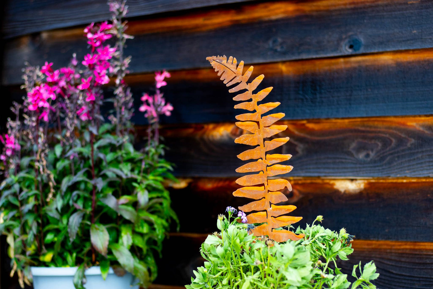 Fern Leaf and Frond Picks: Set of 5 / Set of 5
