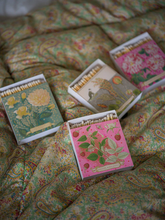 Chien Botanical Drawing Matches | Square - Safety Matches