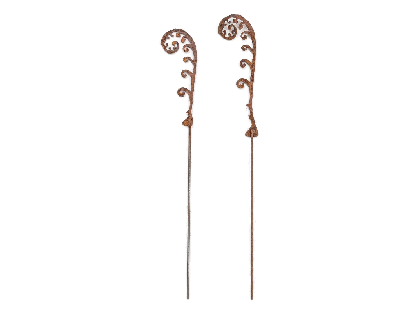 Fern Leaf and Frond Picks: Set of 5 / Set of 5