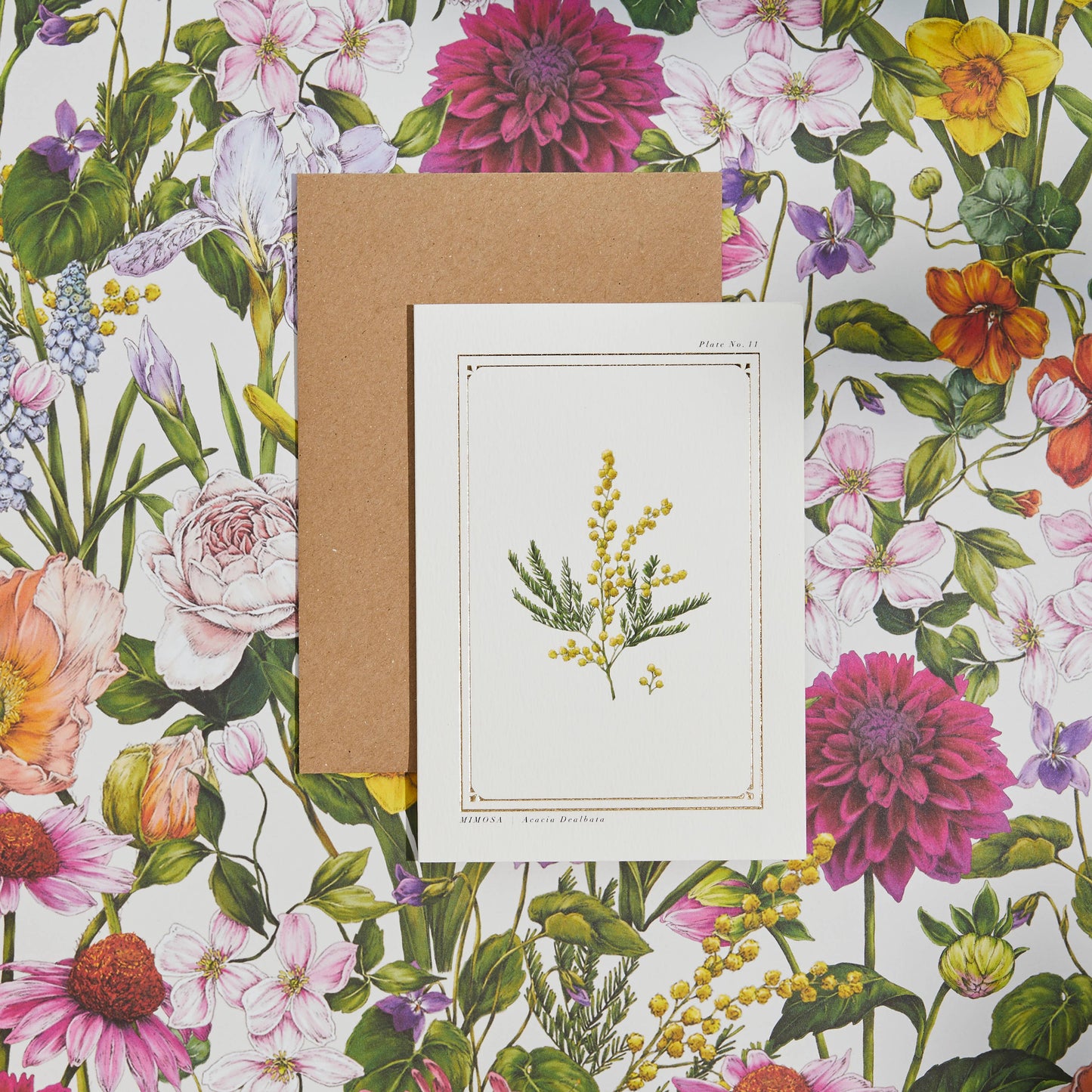 Mimosa Greeting Card