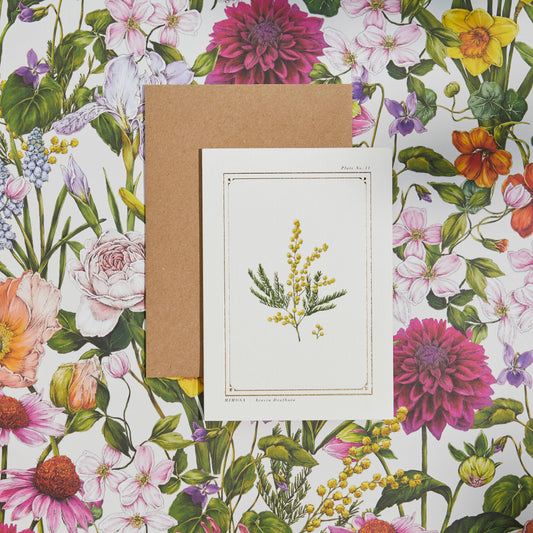 Mimosa Greeting Card