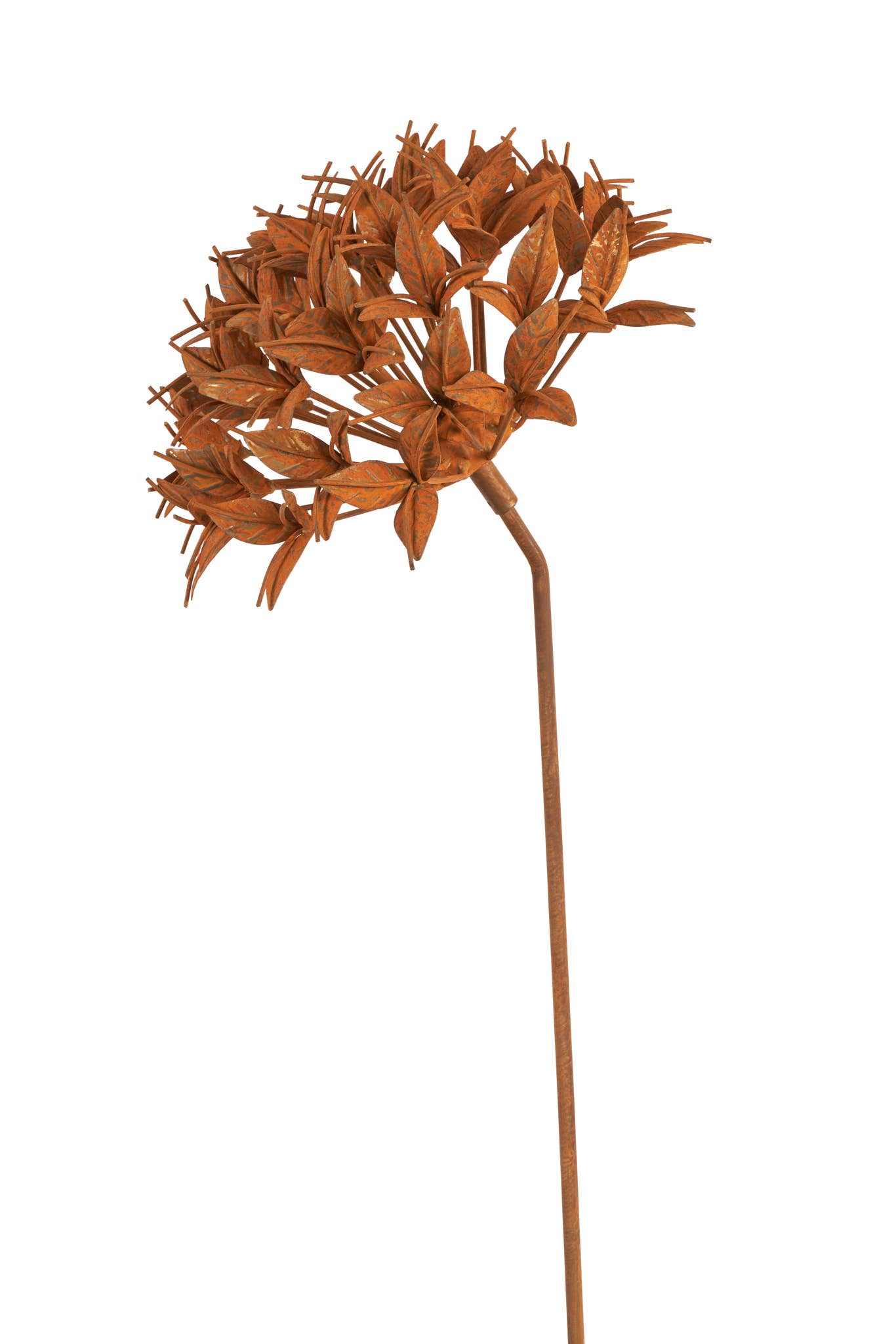 Ixora Flower Stake