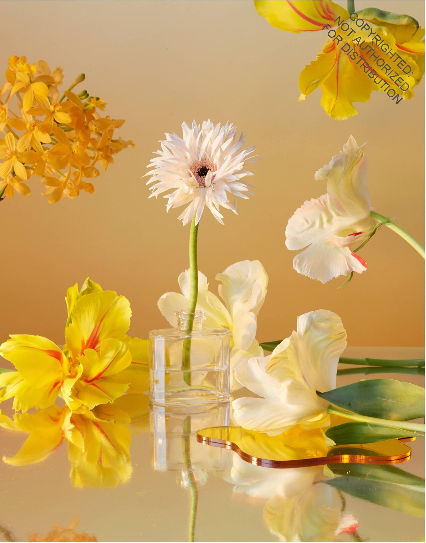 Still Life Notecards
