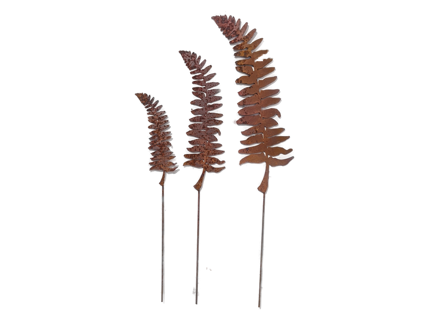Fern Leaf and Frond Picks: Set of 5 / Set of 5