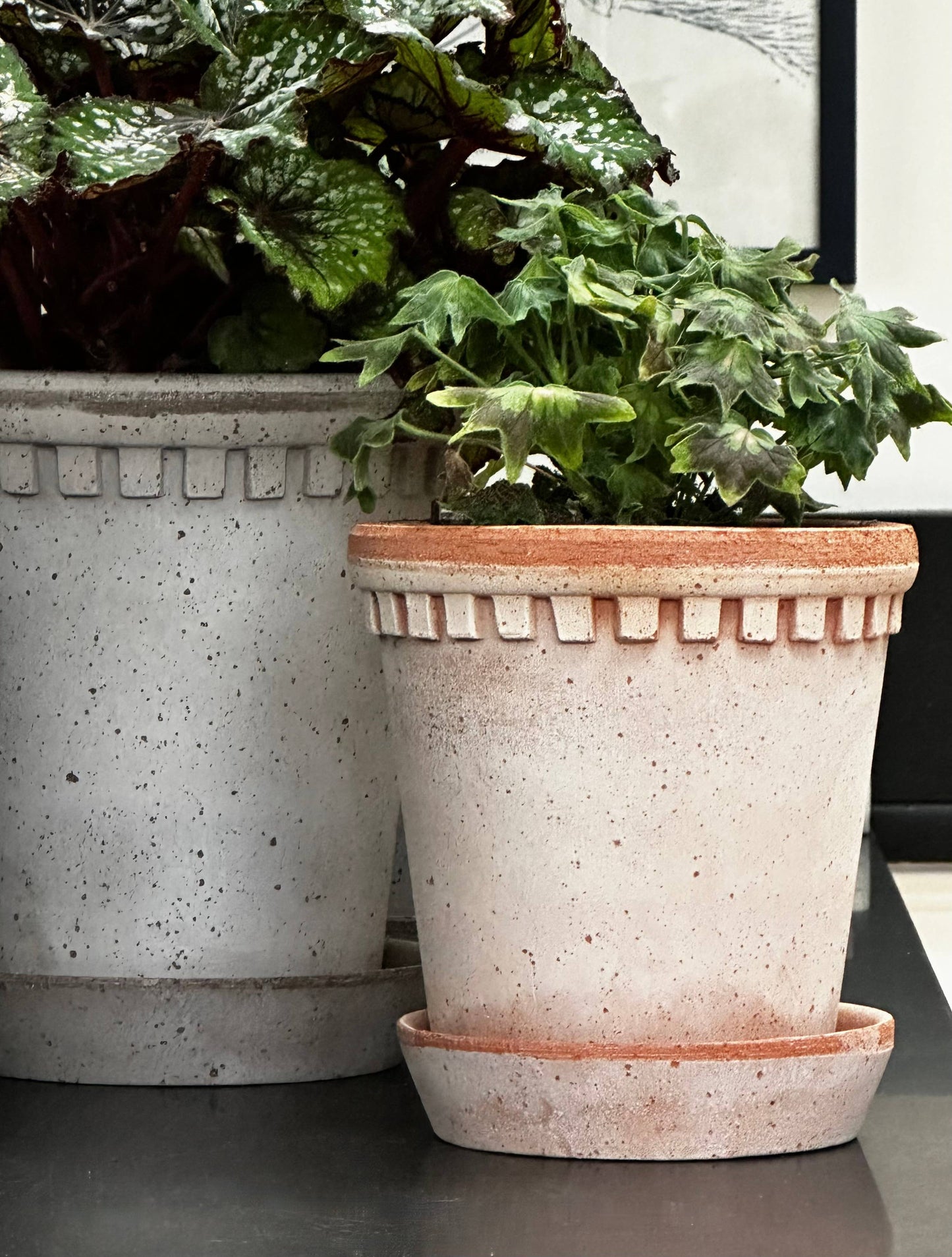 Coventry Terracotta Pot Pale Gray 8"