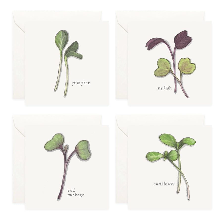 Mini Card Set Micro Greens