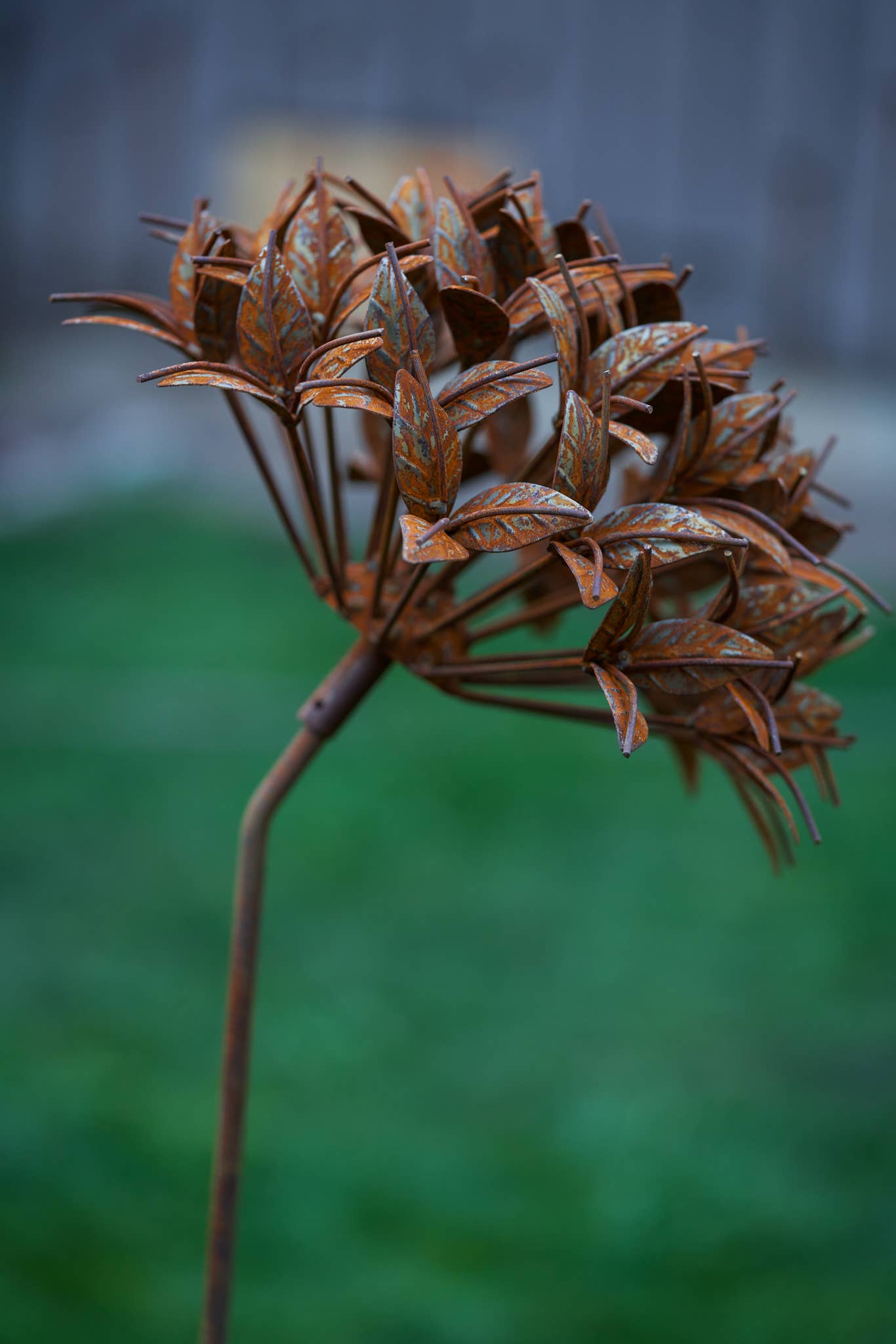 Ixora Flower Stake