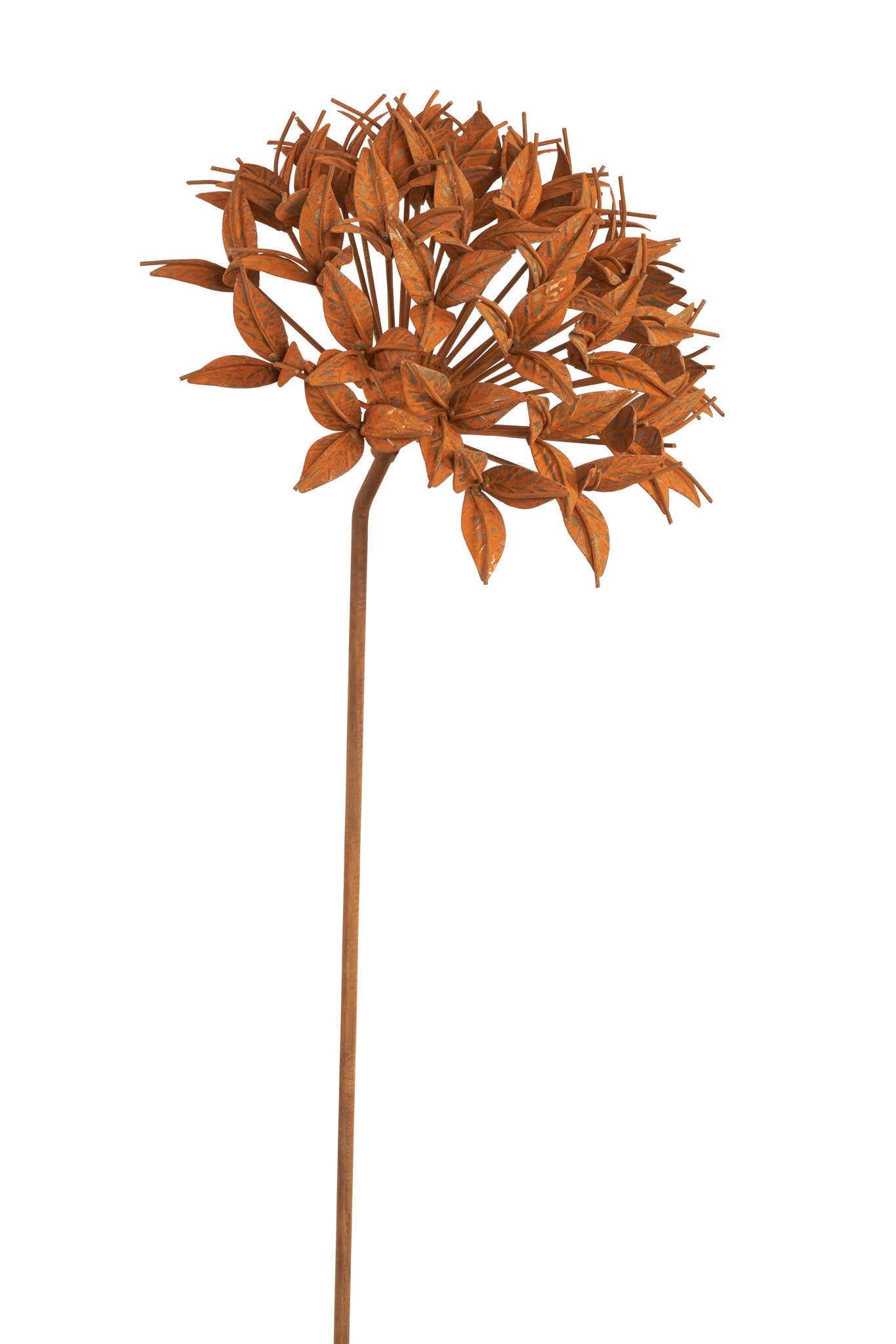 Ixora Flower Stake