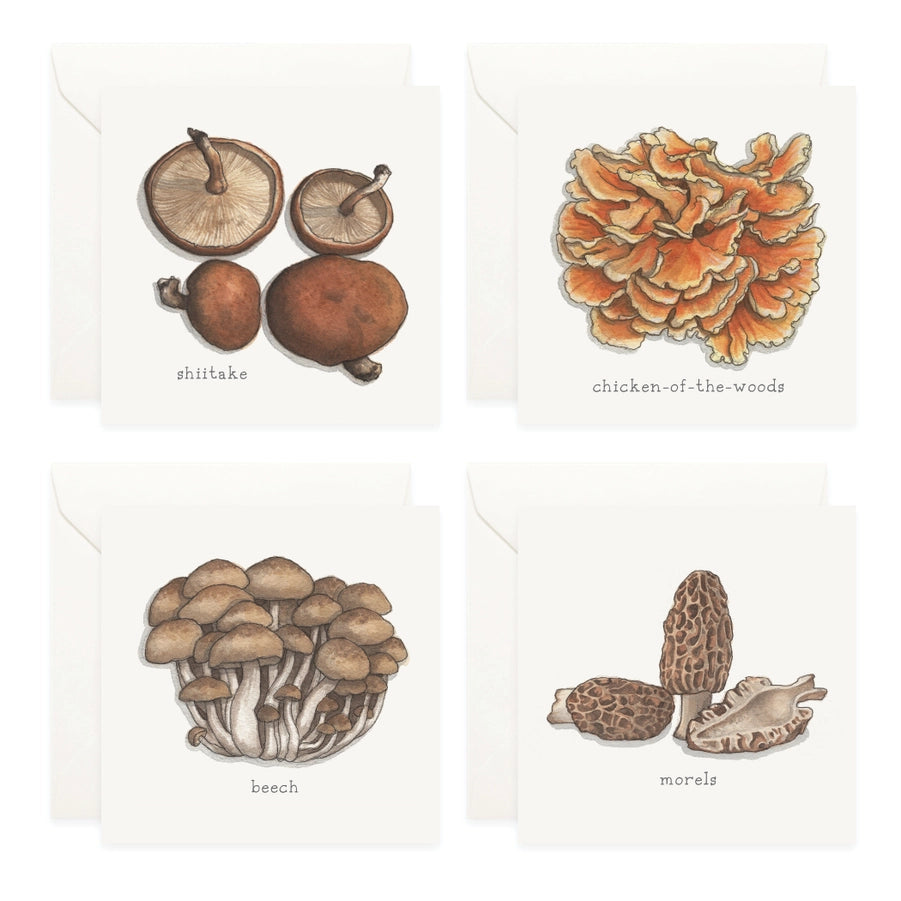 Mini Card Set Mushrooms