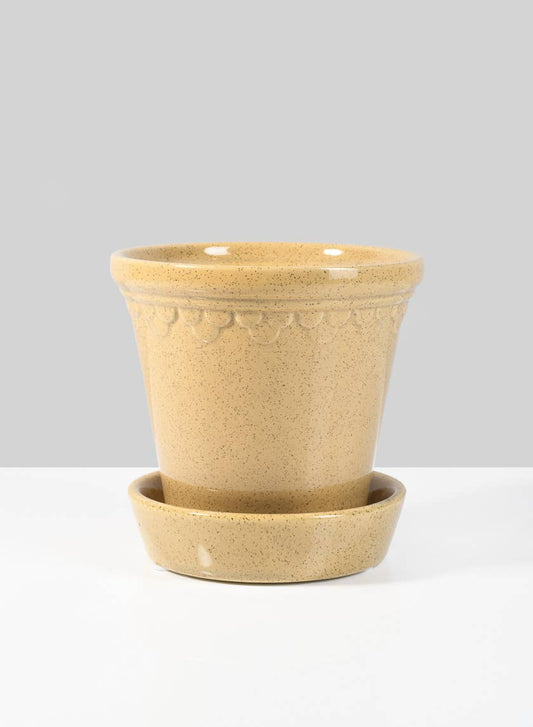 Honey Relief Ceramic Pot & Saucer