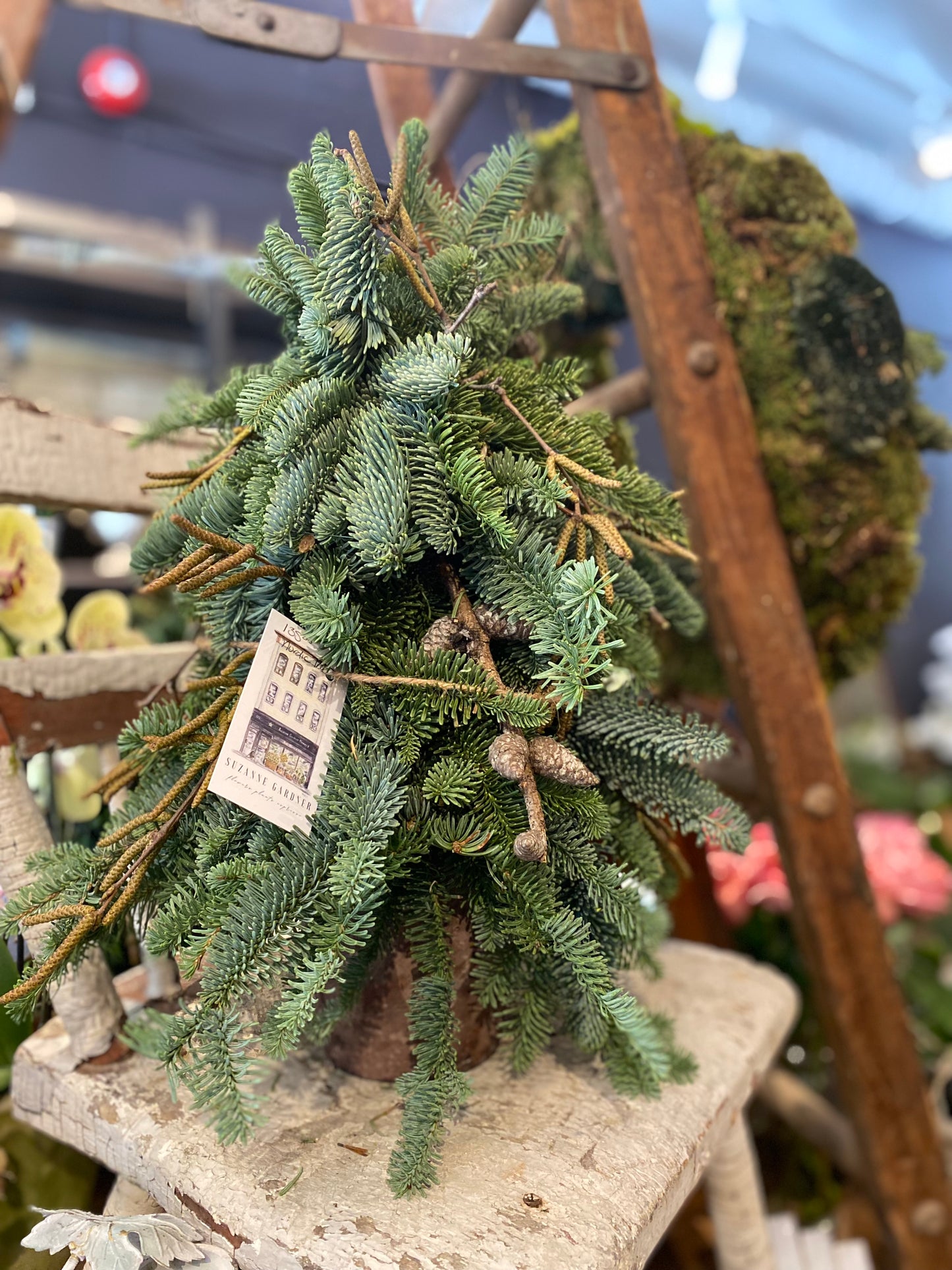 Nordic Tree