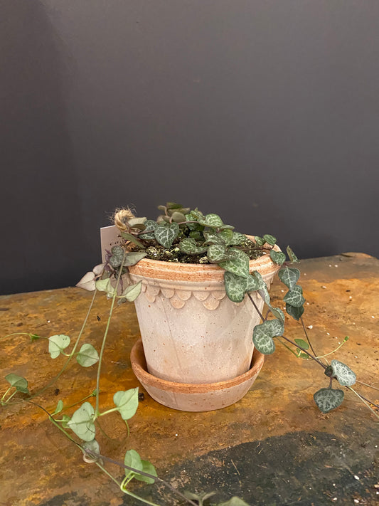 String of hearts