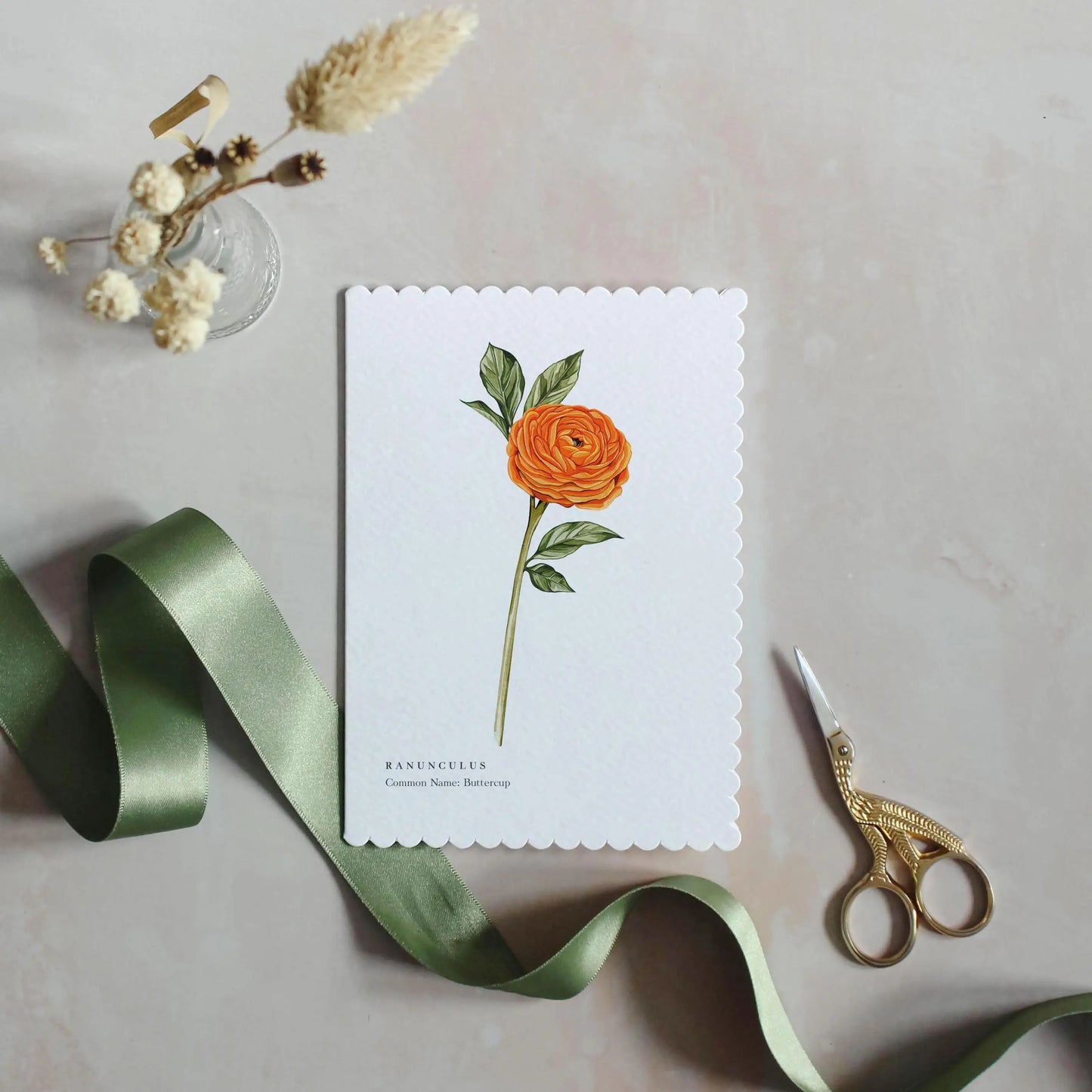Ranunculus Watercolour Scalloped Sustainable Greeting Card
