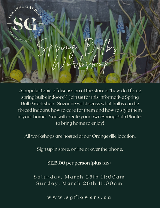 Spring Bulb Workshop