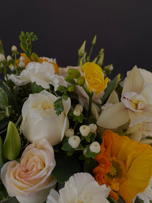 Yellow + White Sympathy