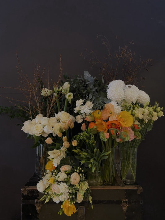 Yellow + White Sympathy