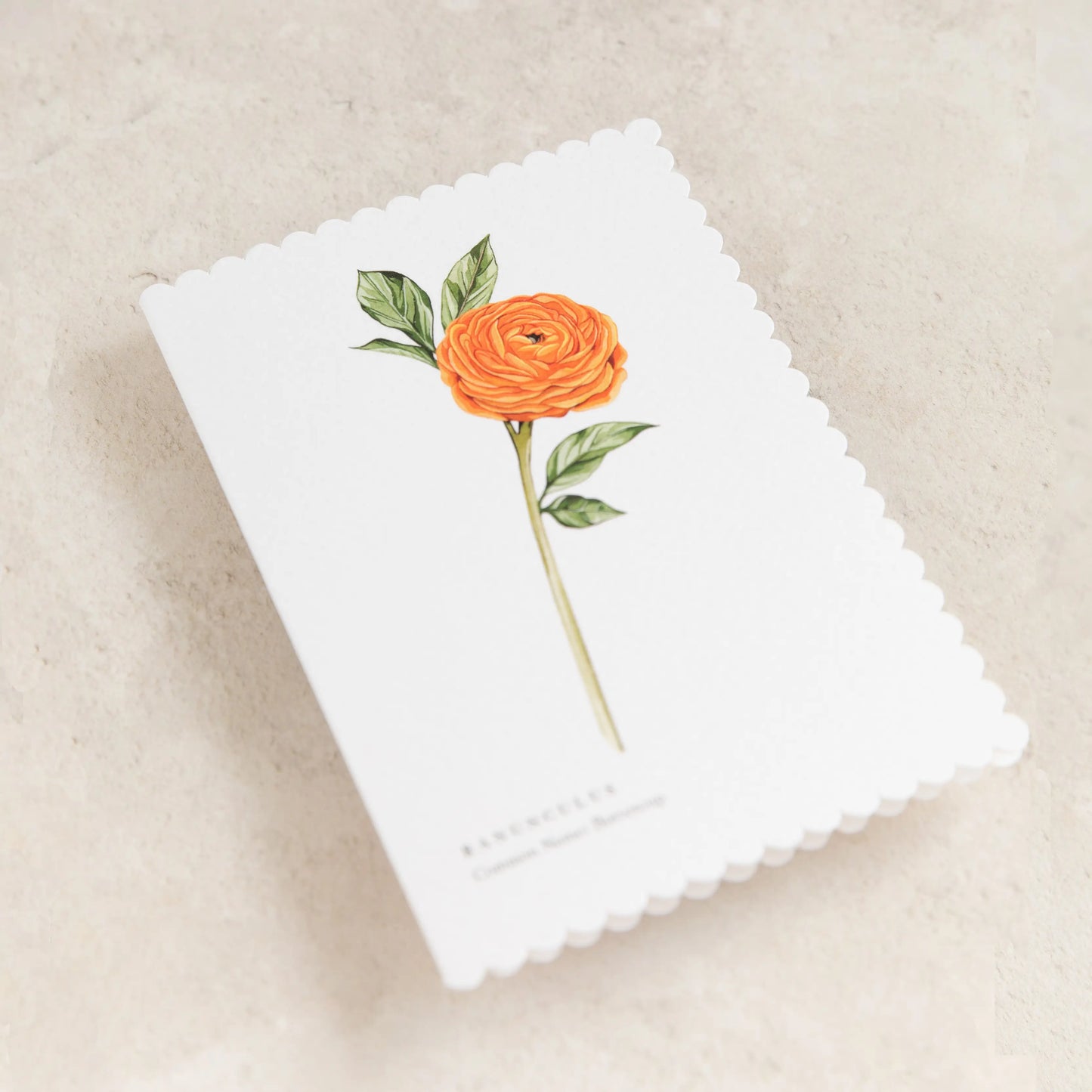 Ranunculus Watercolour Scalloped Sustainable Greeting Card